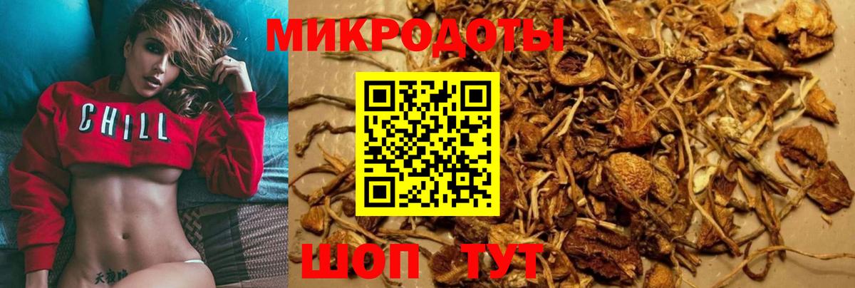 Видное  Псилоцибиновые грибы Psilocybine cubensis  купить наркотики сайты  Вход с VPN 